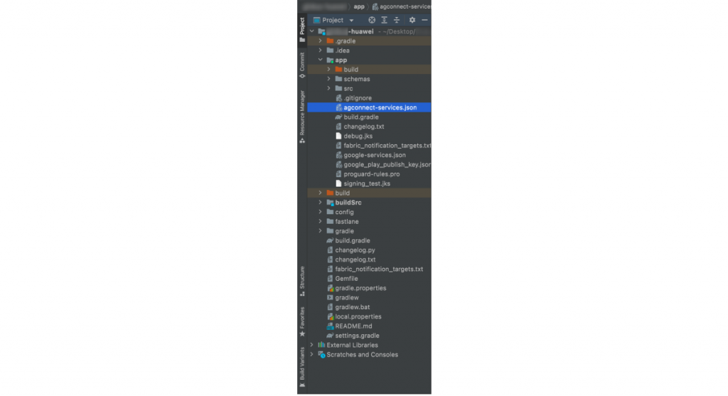 Файл agconnect-services.json в модуле приложения Android Studio