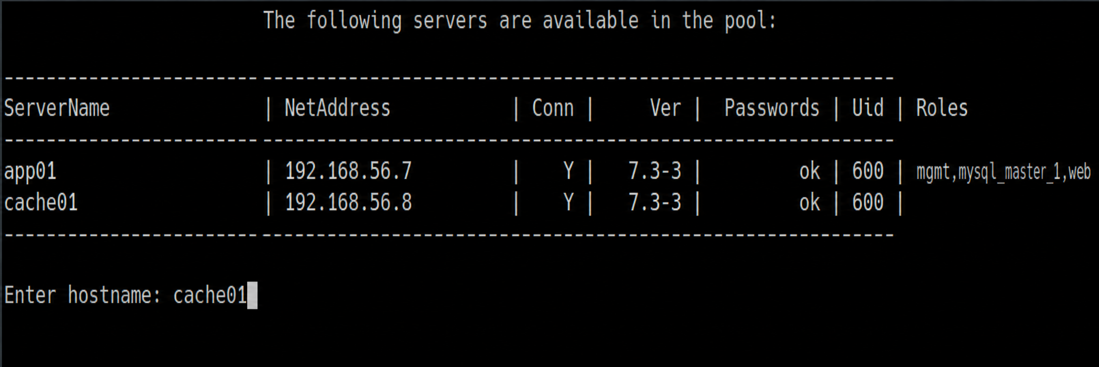 Выбор сервера cache01 для установки роли memcached