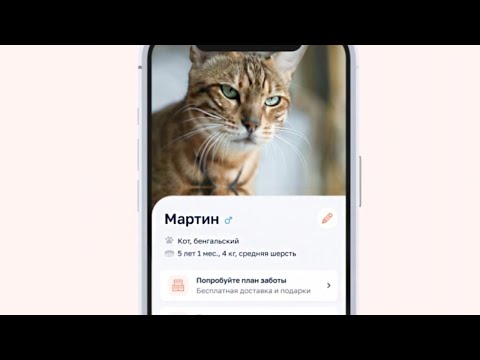 Видео с примером кейса Petstory, собранного в AGIMA Вихре